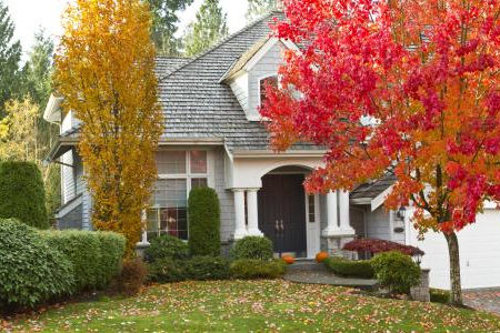 3 best reasons your yard needs seasonal maintenance